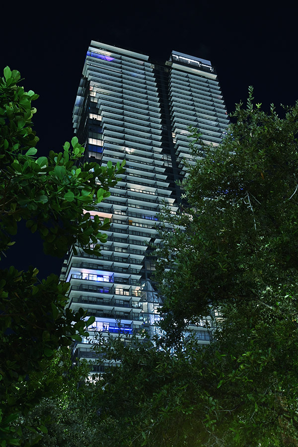 night-view-of-a-densely-layered-skyscraper-illuminated-behind-lush-greenery-representing-urban-Miami-Architecture