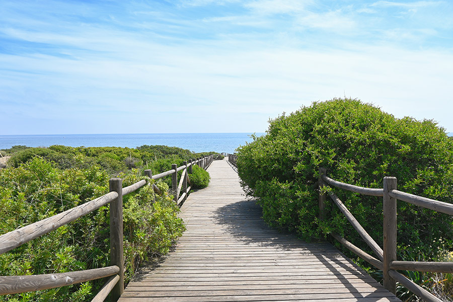Elevated-wooden-pathway-surrounded-by-shrubs-Spain-beaches-Playa-Cabopino