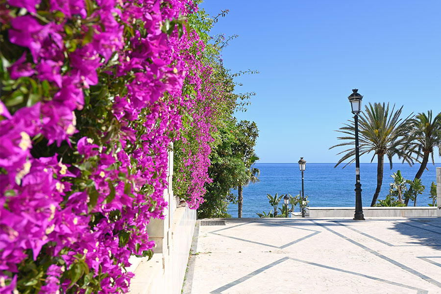 best-beaches-in-marbella-fontanilla-floral-terrace