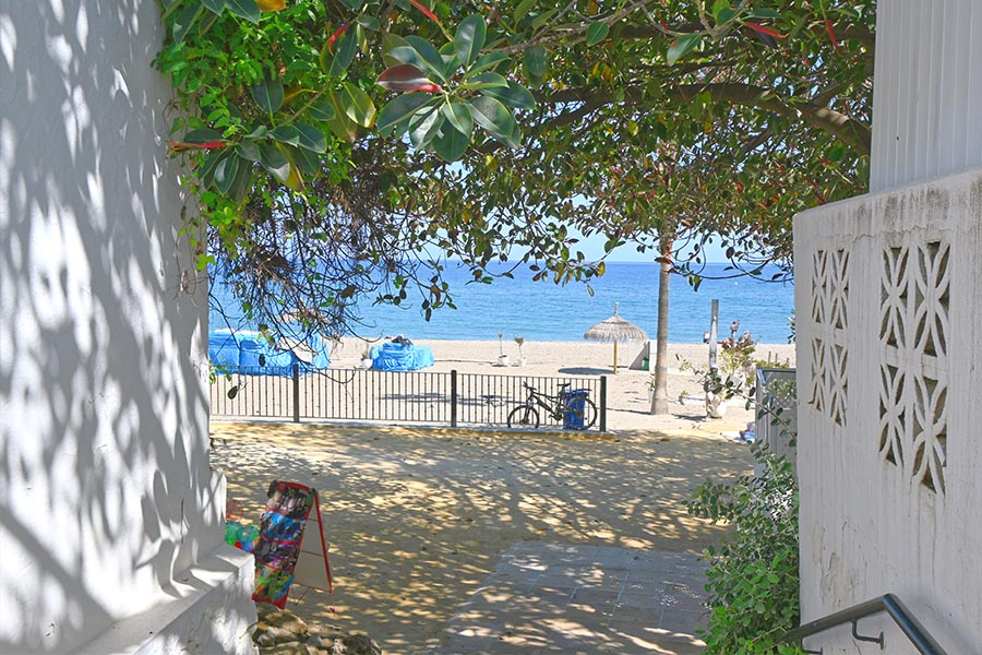 framed-beach-view-through-leafy-trees-and-white-architecture