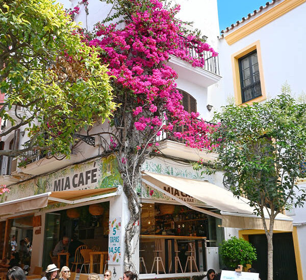 logo-tapas-bars-marbella