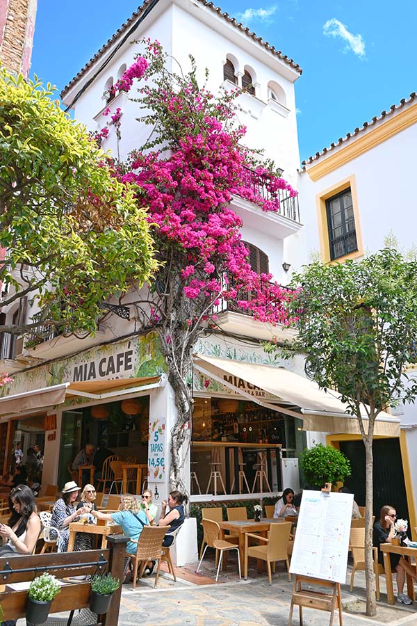 tapas-bars-affordable-marbella-spain