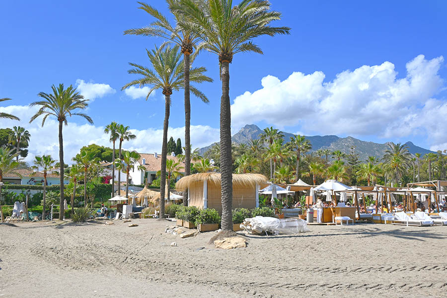 tropical-palm-trees-and-luxury-beach-club-huts-on-golden-sandtropical-palm-trees-and-luxury-beach-club-huts-on-golden-sand