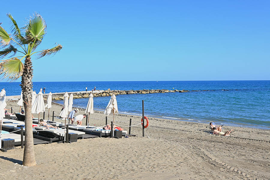 venus-playa-marbella