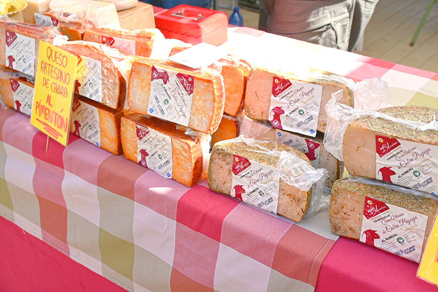 blocks-of-artisanal-spanish-cheese-with-paprika-and-rosemary-at-the-market-in-coin-spain