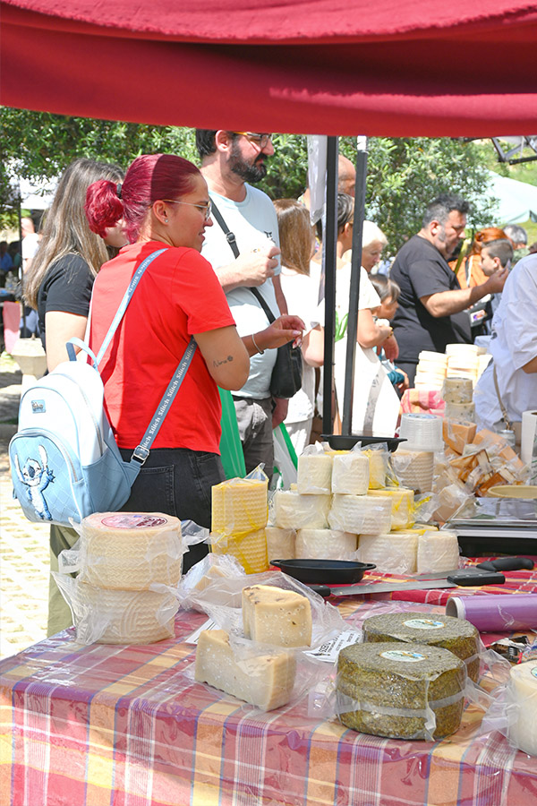cheese-market-in-coin-spain-showing-vendors-and-customers-gathered-around-tables