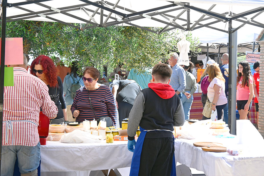 people-browsing-stalls-at-the-outdoor-cheese-market-in-coin-spain-under-white-tents