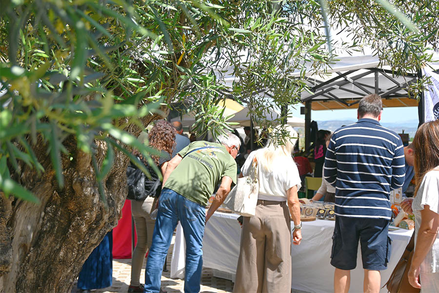 shoppers-visiting-stalls-under-an-olive-tree-at-the-cheese-market-in-coin-spain