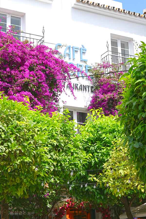 cafe-flore-marbella-spain-phots