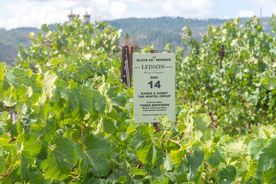 block-6b-reserve-row-14-vineyard-sign-at-ledson-winery-in-sonoma-valley-california