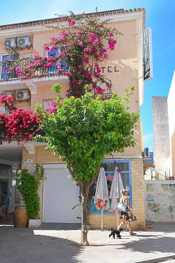 flowers-on-walls-of-house-torremolinos-spain