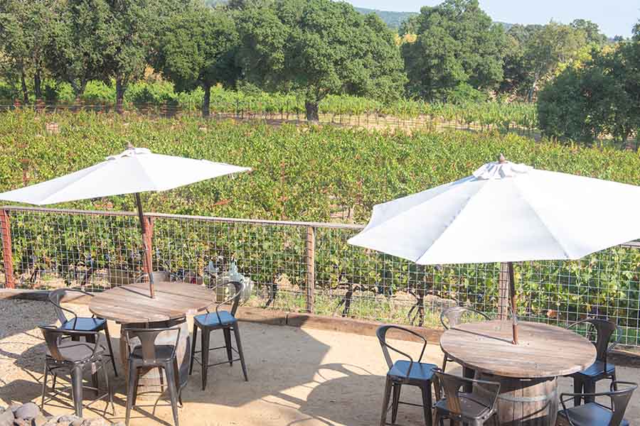 patio-seating-with-umbrellas-overlooking-the-vineyard-at-little-vineyards-family-winery-sonoma-valley-california