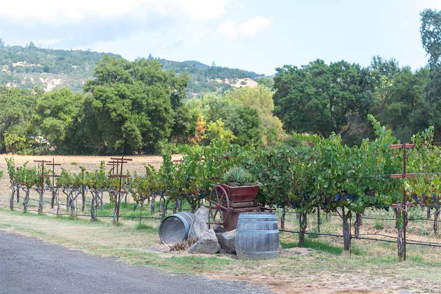 vintage-wine-equipment-and-barrels-along-the-vineyard-row-at-little-vineyards-family-winery-sonoma-valley-california