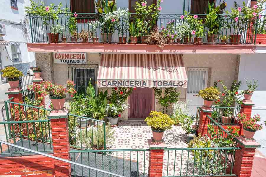 local-butcher-shop-decorated-potted-flowers-Almachar-Spain-white-villages-Andalusia