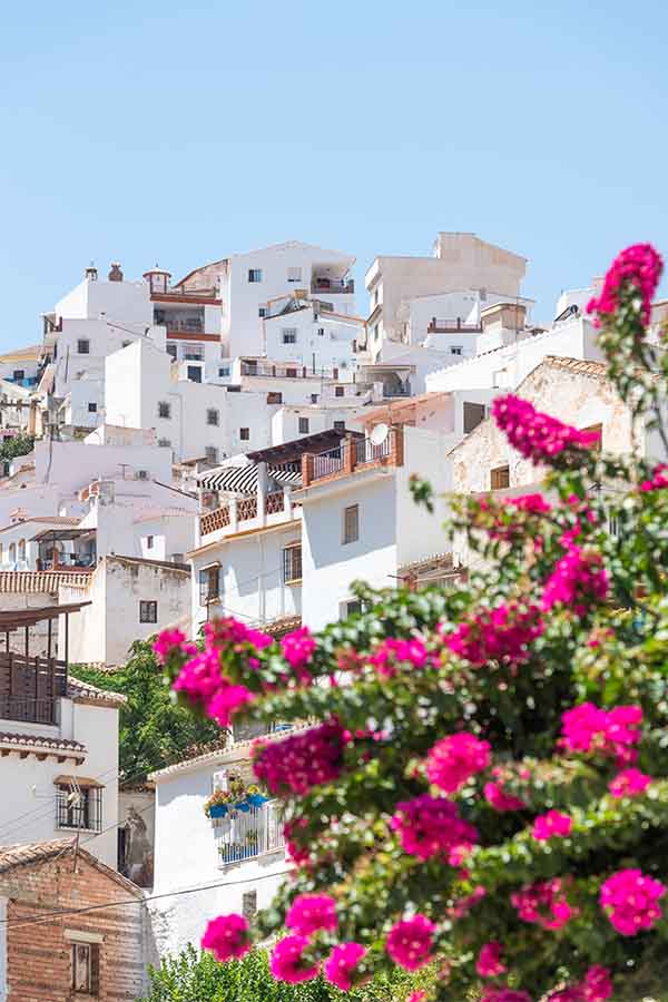 vibrant-pink-bougainvillea-whitewashed-hillside-houses-Almachar-Spain-white-villages-Andalusia