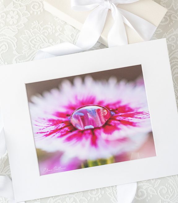 photo-prints-home-logo